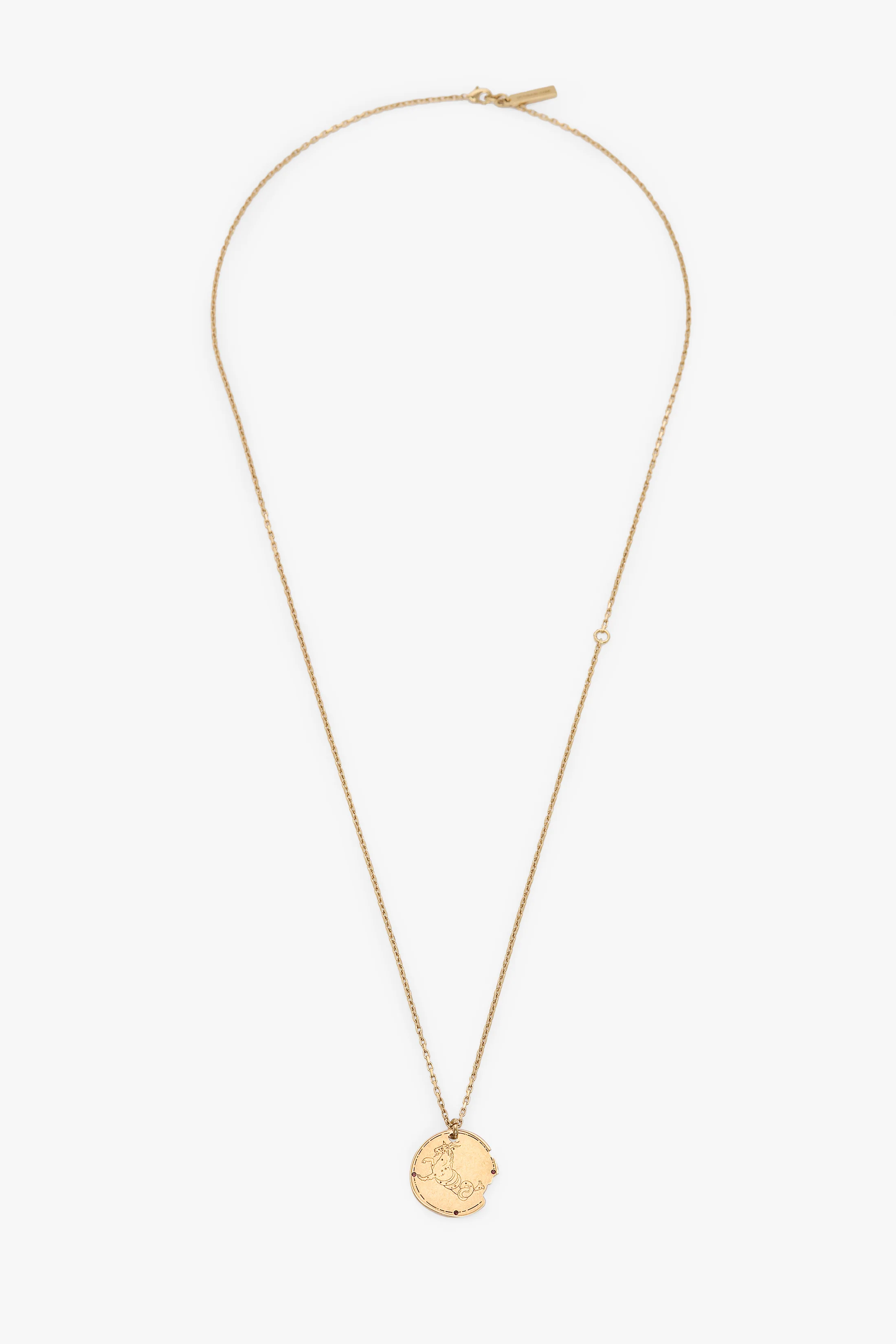 Capricorn Zodiac Necklace