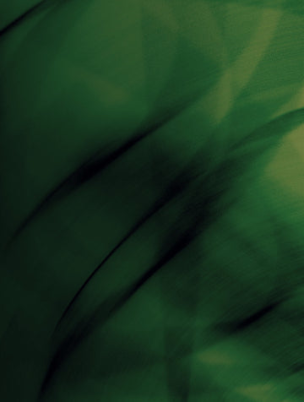 2000x2667 71918672 b345 4352 89d1 f3fa83ee884a